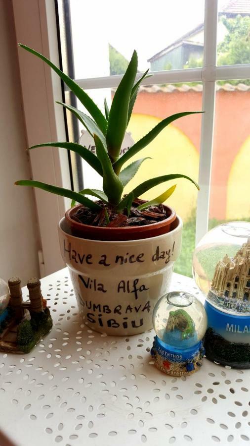 Vila Alfa Dumbrava Nagyszeben Kültér fotó